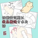 妊娠安定期に救急搬送された話【6】