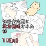 妊娠安定期に救急搬送された話【10】終