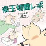 帝王切開レポ【12】