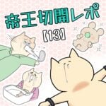 帝王切開レポ【13】